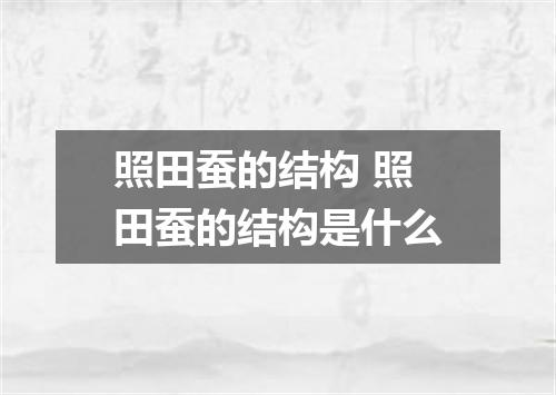 照田蚕的结构 照田蚕的结构是什么