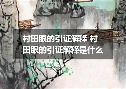 村田眼的引证解释 村田眼的引证解释是什么