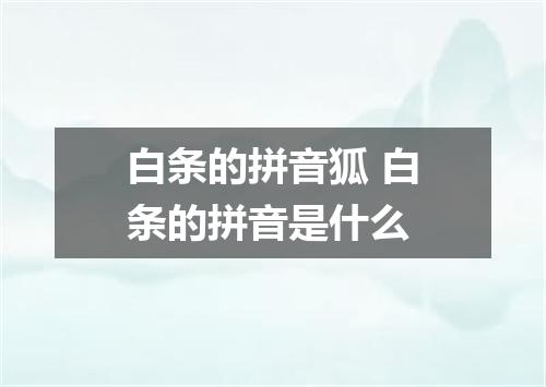 白条的拼音狐 白条的拼音是什么