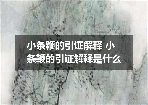 小条鞭的引证解释 小条鞭的引证解释是什么