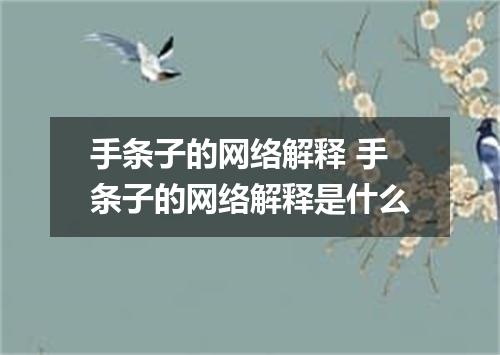 手条子的网络解释 手条子的网络解释是什么