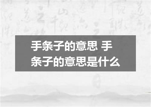 手条子的意思 手条子的意思是什么