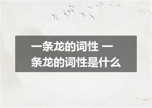 一条龙的词性 一条龙的词性是什么