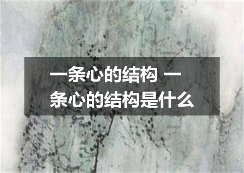 一条心的结构 一条心的结构是什么