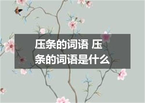 压条的词语 压条的词语是什么