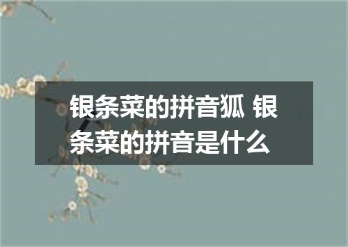 银条菜的拼音狐 银条菜的拼音是什么
