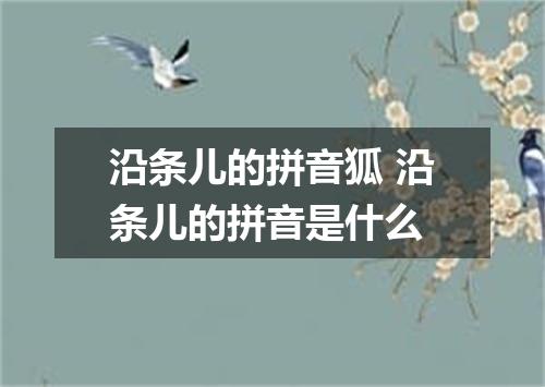 沿条儿的拼音狐 沿条儿的拼音是什么