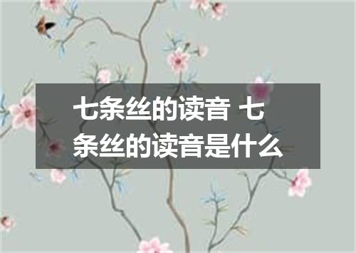 七条丝的读音 七条丝的读音是什么