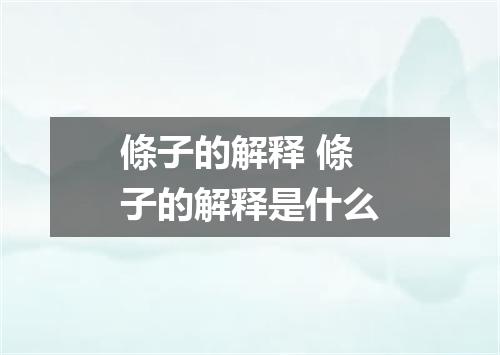 條子的解释 條子的解释是什么