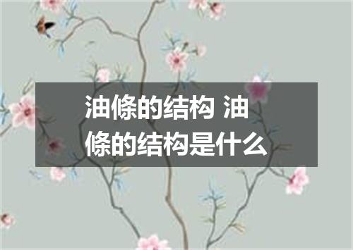 油條的结构 油條的结构是什么