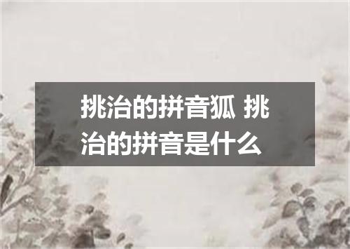 挑治的拼音狐 挑治的拼音是什么