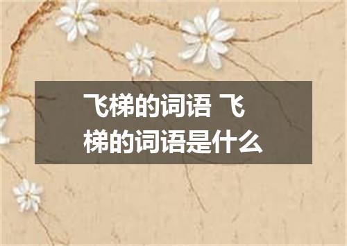 飞梯的词语 飞梯的词语是什么