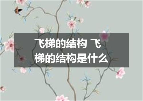 飞梯的结构 飞梯的结构是什么
