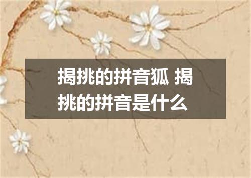 揭挑的拼音狐 揭挑的拼音是什么