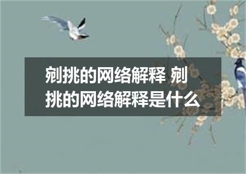 剜挑的网络解释 剜挑的网络解释是什么