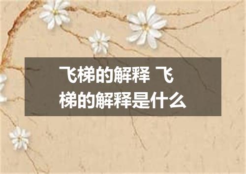 飞梯的解释 飞梯的解释是什么