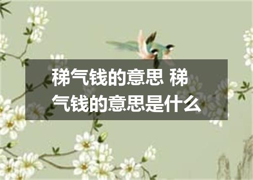 稊气钱的意思 稊气钱的意思是什么