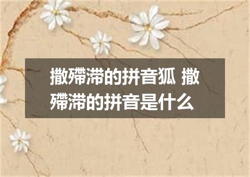 撒殢滞的拼音狐 撒殢滞的拼音是什么