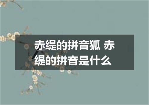 赤缇的拼音狐 赤缇的拼音是什么