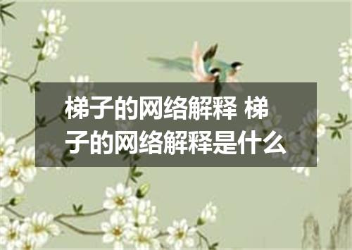 梯子的网络解释 梯子的网络解释是什么