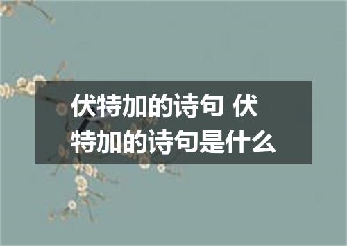 伏特加的诗句 伏特加的诗句是什么