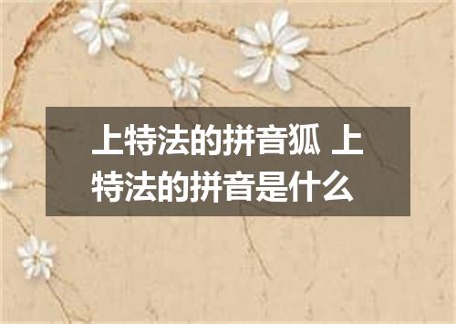 上特法的拼音狐 上特法的拼音是什么