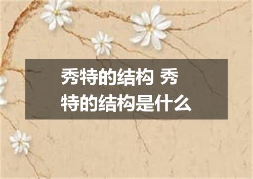 秀特的结构 秀特的结构是什么