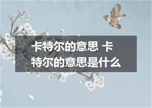 卡特尔的意思 卡特尔的意思是什么