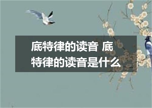 底特律的读音 底特律的读音是什么