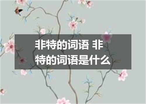 非特的词语 非特的词语是什么