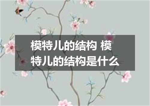 模特儿的结构 模特儿的结构是什么