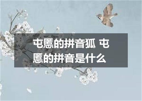 屯慝的拼音狐 屯慝的拼音是什么