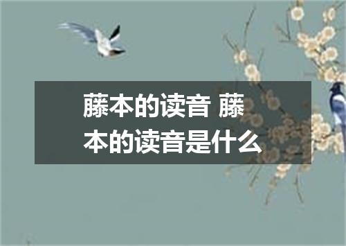 藤本的读音 藤本的读音是什么