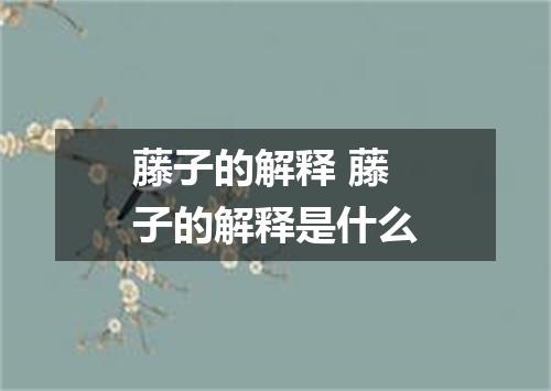 藤子的解释 藤子的解释是什么