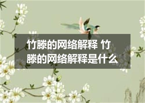 竹滕的网络解释 竹滕的网络解释是什么