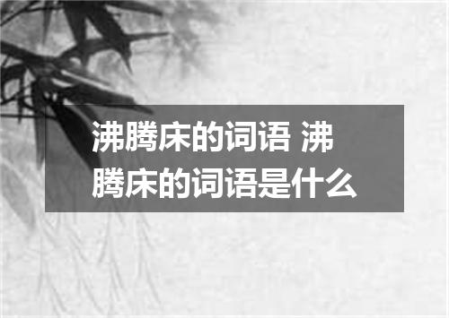 沸腾床的词语 沸腾床的词语是什么