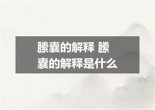 縢囊的解释 縢囊的解释是什么