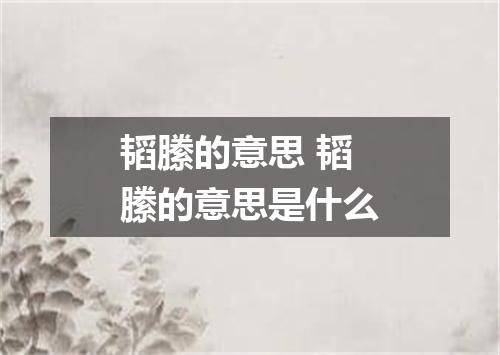 韬縢的意思 韬縢的意思是什么