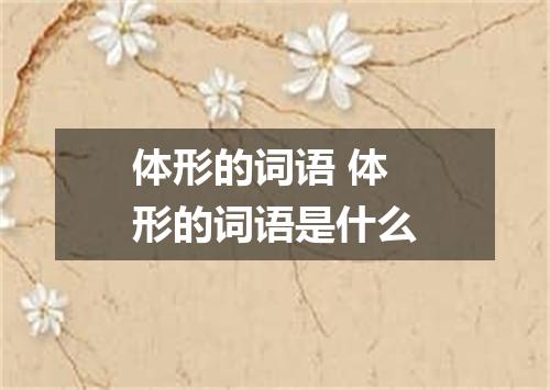 体形的词语 体形的词语是什么