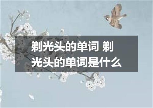 剃光头的单词 剃光头的单词是什么