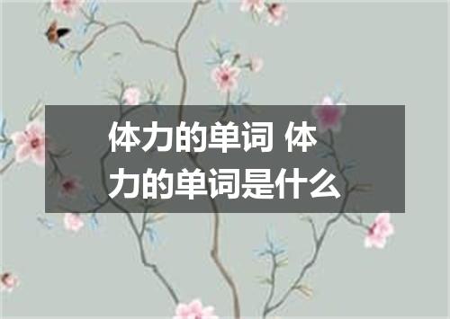 体力的单词 体力的单词是什么