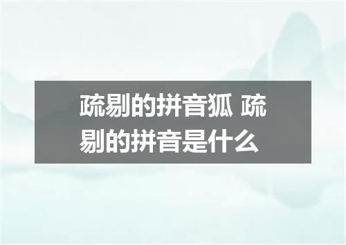 疏剔的拼音狐 疏剔的拼音是什么