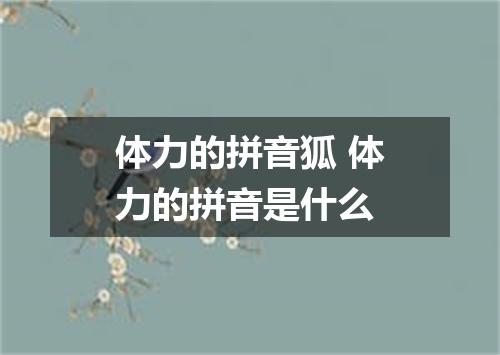 体力的拼音狐 体力的拼音是什么