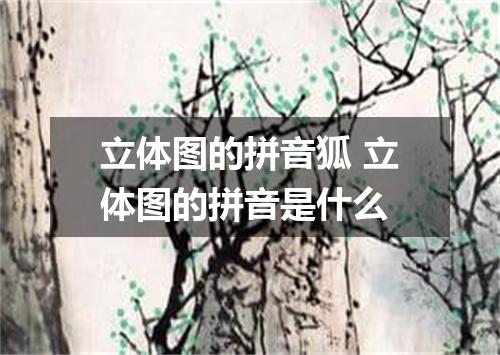 立体图的拼音狐 立体图的拼音是什么