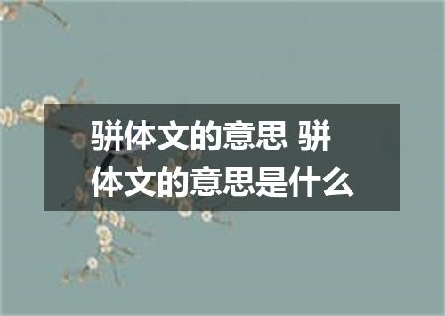 骈体文的意思 骈体文的意思是什么