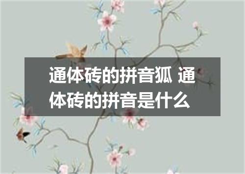 通体砖的拼音狐 通体砖的拼音是什么