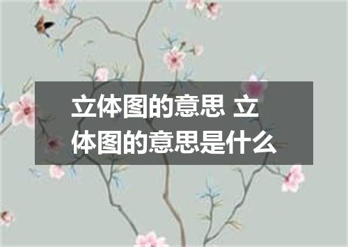 立体图的意思 立体图的意思是什么