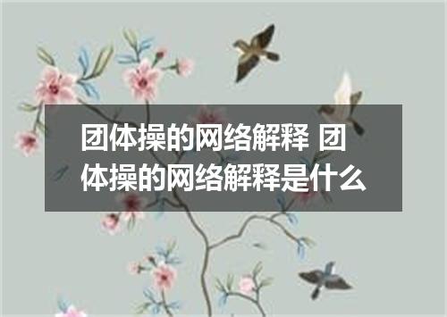 团体操的网络解释 团体操的网络解释是什么