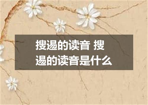 搜逷的读音 搜逷的读音是什么