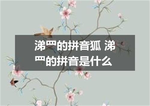 涕罒的拼音狐 涕罒的拼音是什么